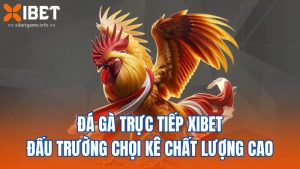 Đá Gà Trực Tiếp XIBET - Đấu Trường Chọi Kê Chất Lượng Cao