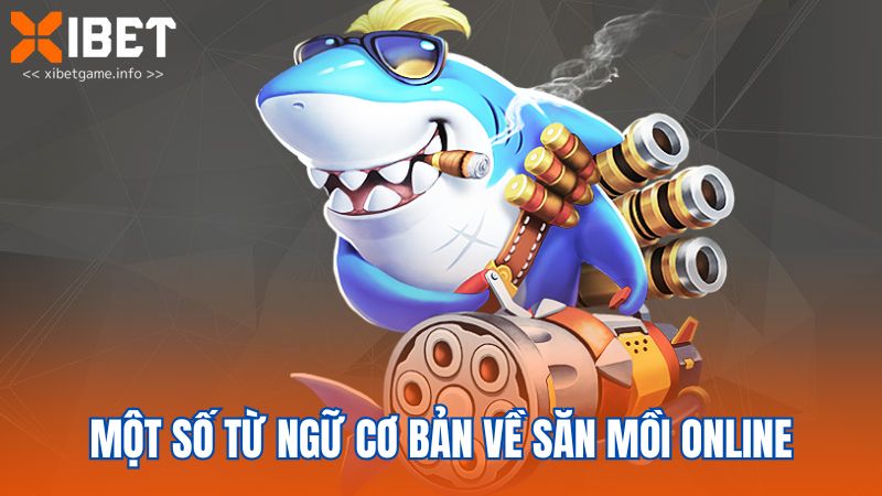 Một số từ ngữ cơ bản về săn mồi online