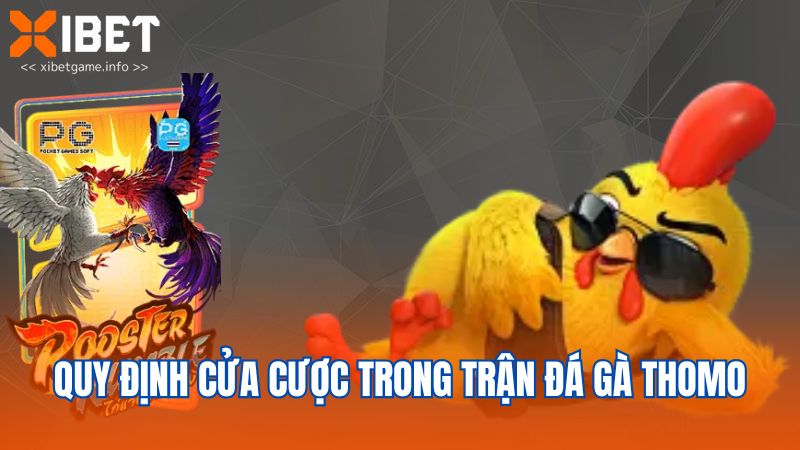 Quy định cửa cược trong trận đá gà Thomo