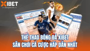 Thể Thao Bóng Đá XIBET – Sân Chơi Cá Cược Hấp Dẫn Nhất