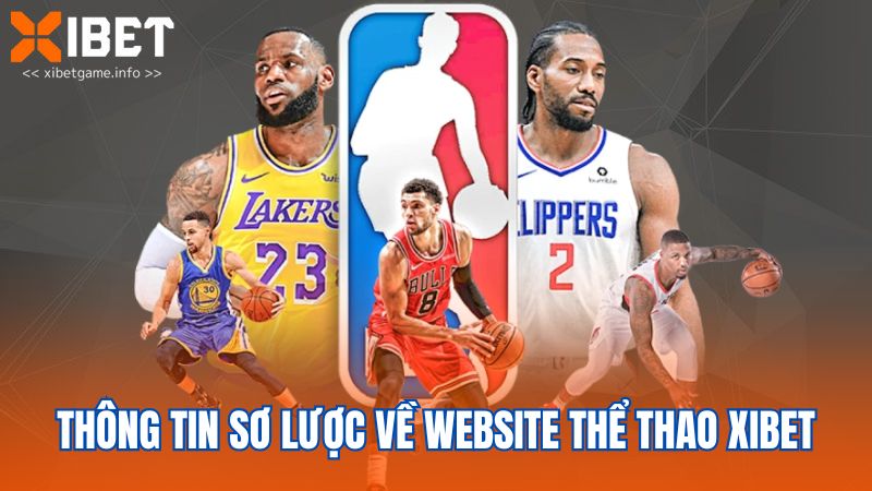 Thông tin sơ lược về website thể thao XIBET