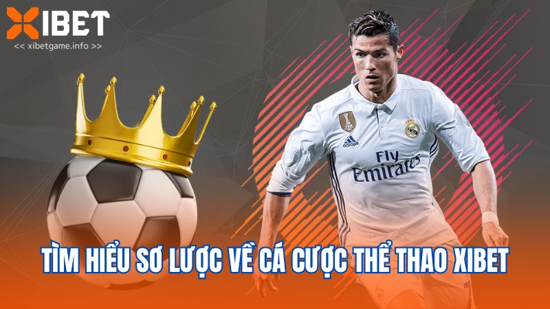 Tìm hiểu sơ lược về cá cược thể thao XIBET
