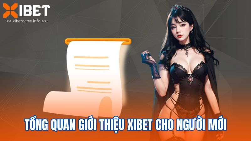 Tổng quan giới thiệu XIBET cho người mới